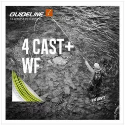 Guideline 4 Cast+ Wf