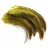 Fly Co. Cock Hackles Badger - Golden Olive