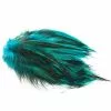 Fly Co. Cock Hackles Badger - Kingfisher Blue