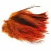Fly Co. Cock Hackles Badger - Orange