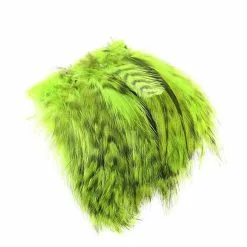 Fly Co. Cock Hackles - Grizzly Fl. Green Chartreuse