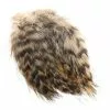 Fly Co. Cock Hackles - Grizzly Tan