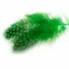 Fly Co. Guinea Fowl - Green Highlander