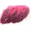 Fly Co. Guinea Fowl - Hot Pink