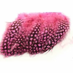 Fly Co. Guinea Fowl - Hot Pink