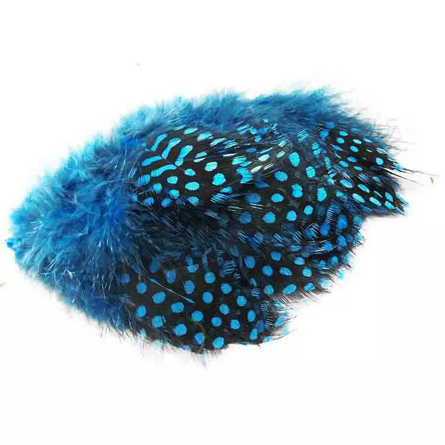 Fly Co. Guinea Fowl - Kingfisher Blue 1 Fly Co. Guinea Fowl - Kingfisher Blue