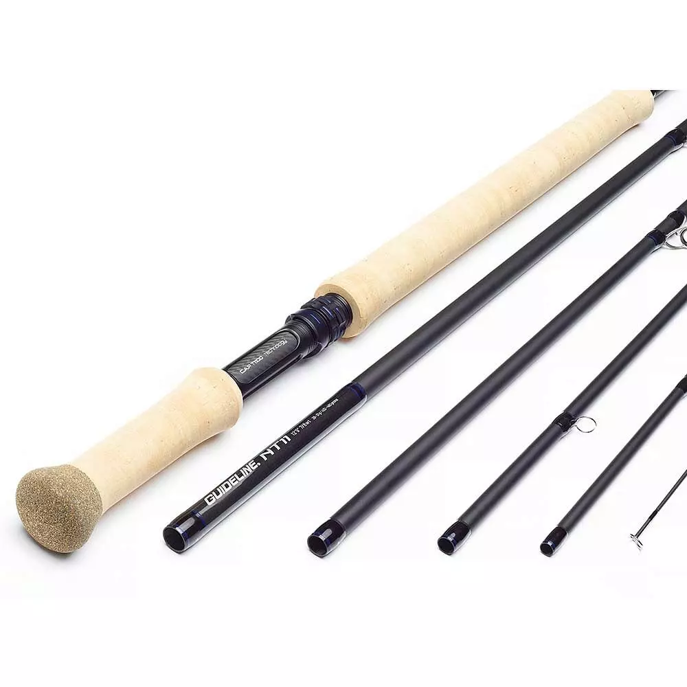 Guideline NT11 Salmon & Seatrout 1 Guideline NT11 Salmon & Seatrout