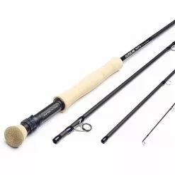 Guideline NT11 Lake & Anadrome