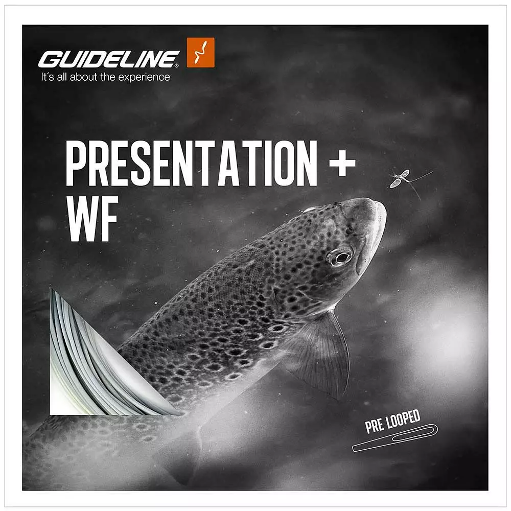 Guideline Presentation+ Wf Float 1 Guideline Presentation+ Wf Float