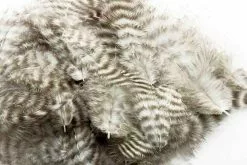 Fly Co. Metz Soft Hackle - Grizzly