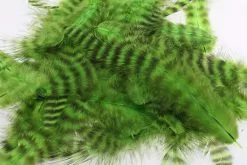 Fly Co. Soft Hackle - Grizzly Chartreuse