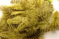 Fly Co. Soft Hackle - Grizzly Olive