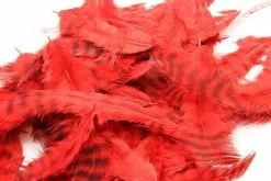 Fly Co. Soft Hackle - Grizzly Red