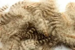 Fly Co. Soft Hackle - Grizzly Tan