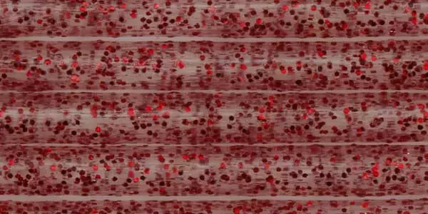 Pro Sportfisher Pro Tube Classic Sixpack ø2.2mm 1 Pro Sportfisher Pro Tube Classic Sixpack ø2.2mm