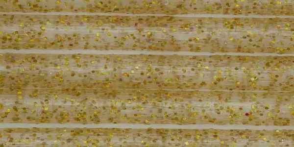 Pro Sportfisher Pro Tube Classic Sixpack ø2.2mm 1 Pro Sportfisher Pro Tube Classic Sixpack ø2.2mm