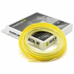 Guideline Coastal Evolve