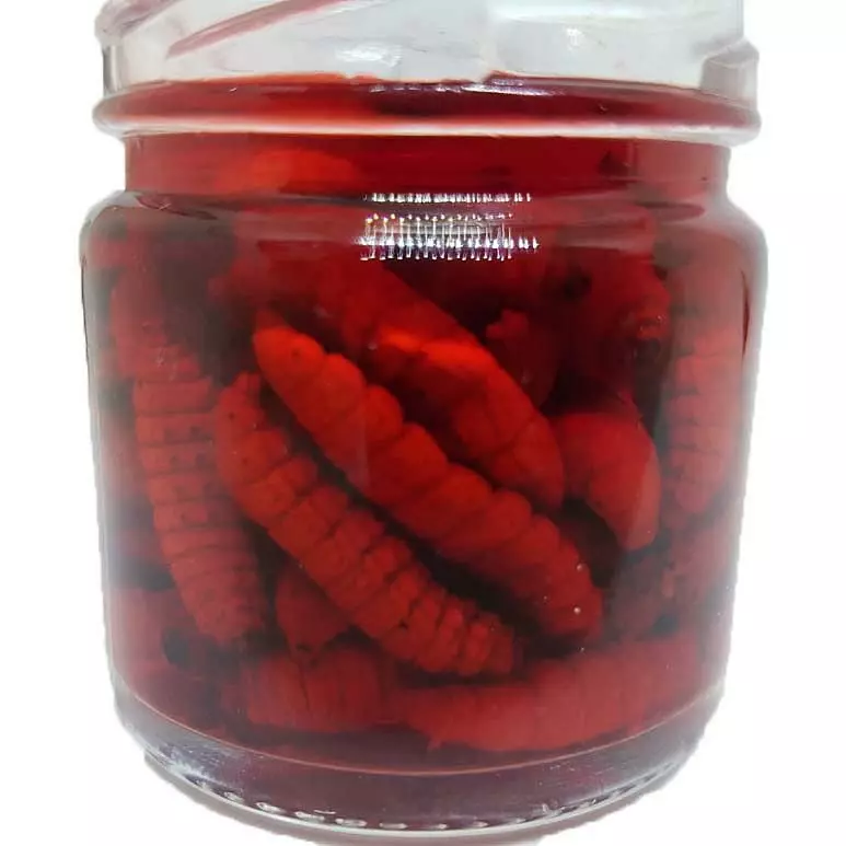 Arcticproducts Monstermaggot - Rød 1 Arcticproducts Monstermaggot - Rød