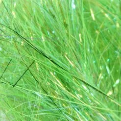 FrodinFlies Sss Glitz Dubbing - Hot Greenlander Green
